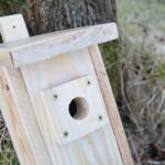 Budki lęgowe dla ptaków / Marzena Mąkosa / Radio Kielce