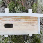 Budki lęgowe dla ptaków / Marzena Mąkosa / Radio Kielce