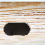 Budki lęgowe dla ptaków / Marzena Mąkosa / Radio Kielce