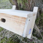 Budki lęgowe dla ptaków / Marzena Mąkosa / Radio Kielce