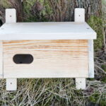 Budki lęgowe dla ptaków / Marzena Mąkosa / Radio Kielce