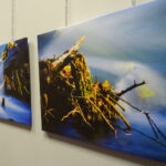 Wernisaż wystawy Wodne impresje / Emilia Sitarska / Radio Kielce