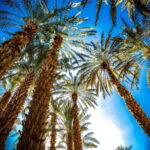 Muzyczne podróże. Maroko południowe / Mirosław Lubarski