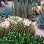 Muzyczne podróże. Maroko południowe / Mirosław Lubarski