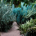 Muzyczne podróże. Maroko południowe / Mirosław Lubarski