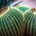 Muzyczne podróże. Maroko południowe / Mirosław Lubarski