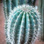 Muzyczne podróże. Maroko południowe / Mirosław Lubarski