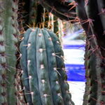 Muzyczne podróże. Maroko południowe / Mirosław Lubarski