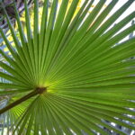 Muzyczne podróże. Maroko południowe / Mirosław Lubarski