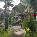 Rwanda / Beata Radek