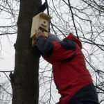 Zaproś do siebie sikorki i jerzyki - akcja Polskiego Radia Kielce / Robert Felczak / Radio Kielce