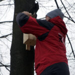 Zaproś do siebie sikorki i jerzyki - akcja Polskiego Radia Kielce / Robert Felczak / Radio Kielce