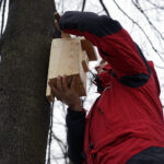 Zaproś do siebie sikorki i jerzyki - akcja Polskiego Radia Kielce / Robert Felczak / Radio Kielce