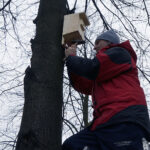 Zaproś do siebie sikorki i jerzyki - akcja Polskiego Radia Kielce / Robert Felczak / Radio Kielce