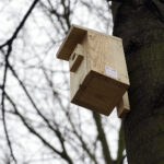 Zaproś do siebie sikorki i jerzyki - akcja Polskiego Radia Kielce / Robert Felczak / Radio Kielce