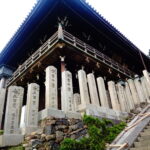 Japonia / Katarzyna Barwicka i Małgorzata Kucz