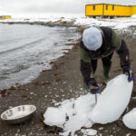 Wyspa Króla Jerzego / Dagmara Bożek-Andryszczak i Piotr Andryszczak