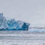 Wyspa Króla Jerzego / Dagmara Bożek-Andryszczak i Piotr Andryszczak