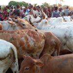 Etiopia południowa / Danuta Rasała i Sławomir Skowron