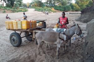 Etiopia południowa / Danuta Rasała i Sławomir Skowron