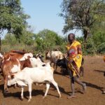 Etiopia południowa / Danuta Rasała i Sławomir Skowron