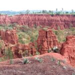 Etiopia południowa / Danuta Rasała i Sławomir Skowron