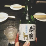 Japonia / Katarzyna Barwicka i Małgorzata Kucz