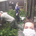 Japonia / Katarzyna Barwicka i Małgorzata Kucz