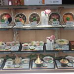 Japonia / Katarzyna Barwicka i Małgorzata Kucz