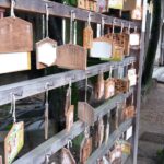 Japonia / Katarzyna Barwicka i Małgorzata Kucz