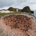 Wyspa Króla Jerzego / Dagmara Bożek-Andryszczak i Piotr Andryszczak