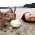 Japonia / Katarzyna Barwicka i Małgorzata Kucz