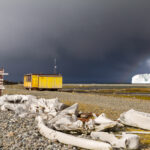 Wyspa Króla Jerzego / Dagmara Bożek-Andryszczak i Piotr Andryszczak