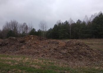 Działka w gminie Raków, w której były zakopywane odpady / KWP Kielce