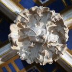 Sandomierz. Prace konserwatorskie w Bazylice Katedralnej / ksiądz Tomasz Lis