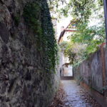 Miśnia / J. M. Lendzion