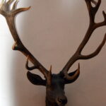 Moritzburg / J. M. Lendzion