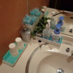 Japonia / Katarzyna Barwicka i Małgorzata Kucz