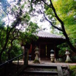 Japonia / Katarzyna Barwicka i Małgorzata Kucz