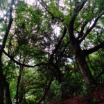 Japonia / Katarzyna Barwicka i Małgorzata Kucz