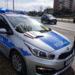 Świętokrzyscy policjanci rozdawali Paniom róże z okazji Dnia Kobiet / Monika Miller / Radio Kielce