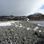 Wyspa Króla Jerzego / Dagmara Bożek-Andryszczak i Piotr Andryszczak