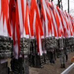 Kielce. Bieg „Tropem Wilczym” / Wiktor Dziarmaga / Radio Kielce