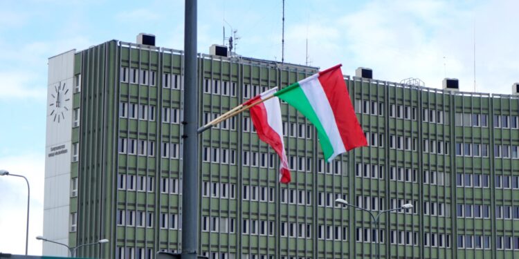Przy kieleckich ulicach zawisły flagi Polski i Węgier / Karol Żak / Radio Kielce