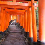 Muzyczne podróże. Japonia / Barbara Libiszowska-Pawlak