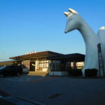 Muzyczne podróże. Japonia / Barbara Libiszowska-Pawlak