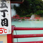 Muzyczne podróże. Japonia / Barbara Libiszowska-Pawlak