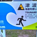 Muzyczne podróże. Japonia / Barbara Libiszowska-Pawlak