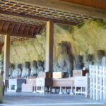 Muzyczne podróże. Japonia / Barbara Libiszowska-Pawlak