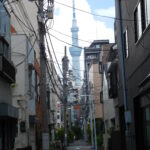 Muzyczne podróże. Japonia / Barbara Libiszowska-Pawlak